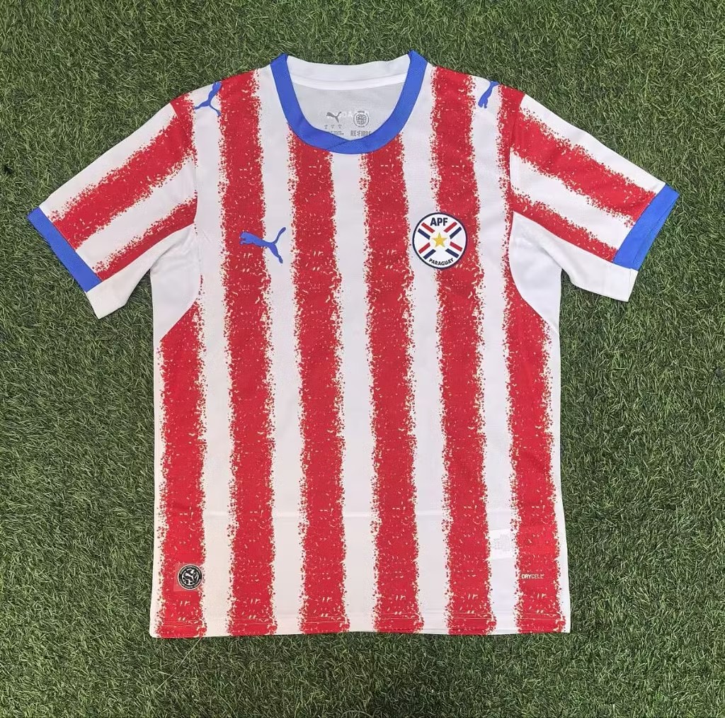 Camiseta Paraguay Tipo Fan Local (S)